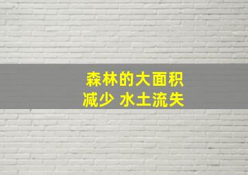 森林的大面积减少 水土流失